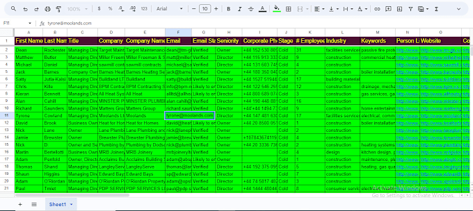 Gig Preview - Make data excel cleaning and format,remove duplicates,pdf to excel