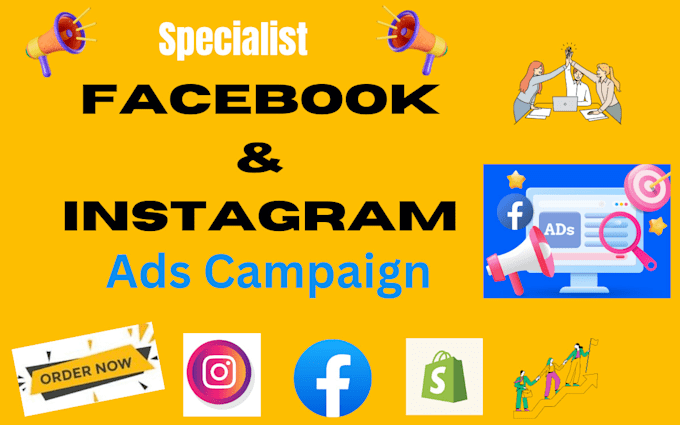 Gig Preview - Create and manage high performing facebook and instagram ads campaign