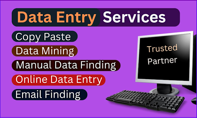 Gig Preview - Do affordable data entry services and express 24 hours