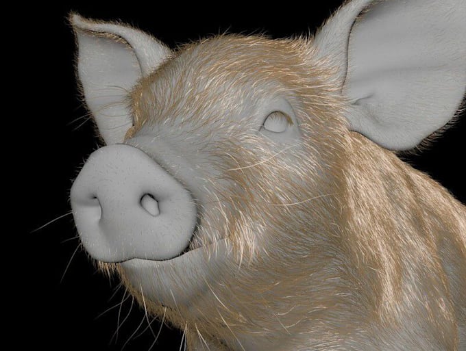 Gig Preview - Do 3d cgi animal animation ,3d animal modeling, fur ,xgen , 3d rigging , vfx