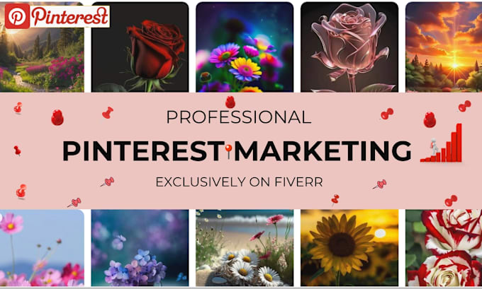 Gig Preview - Create pins and boards as a pinterest marketing expert