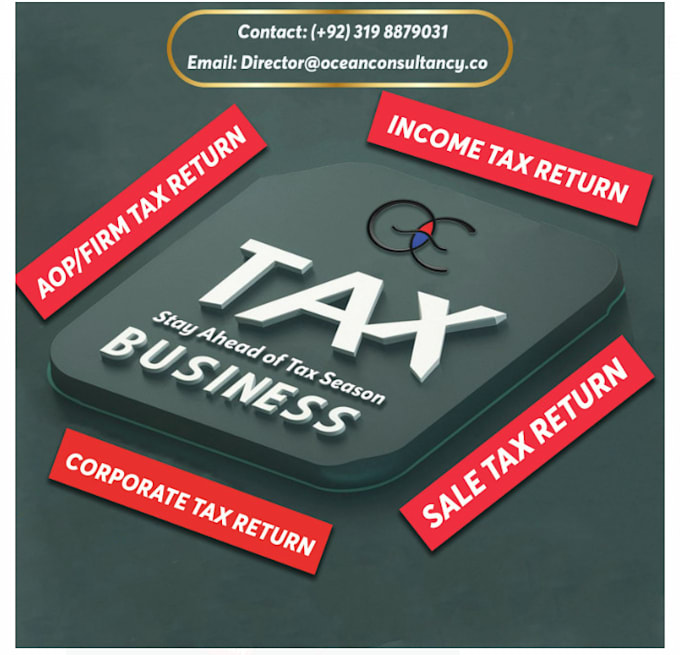 Gig Preview - Render pakistan tax services