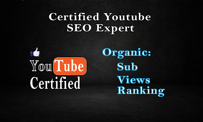 Gig Preview - Do top youtube video SEO for ranking