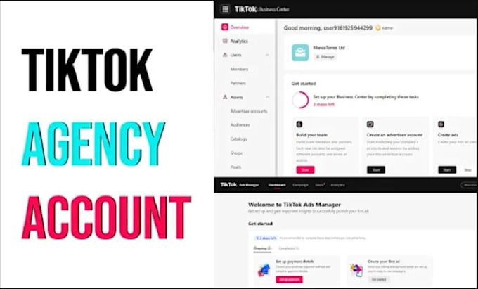 Gig Preview - Create verified tik tok agency account, agency ads account