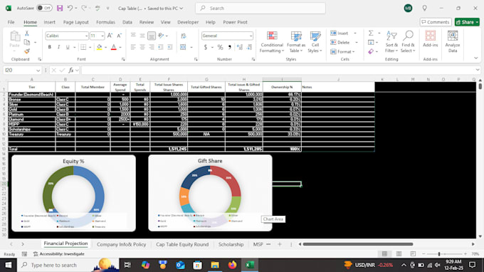 Gig Preview - Assist you with cap tables management and business valuation