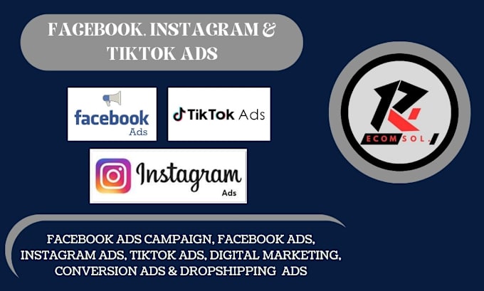 Gig Preview - Promote setup and run facebook tiktok instagram ads campaign website development