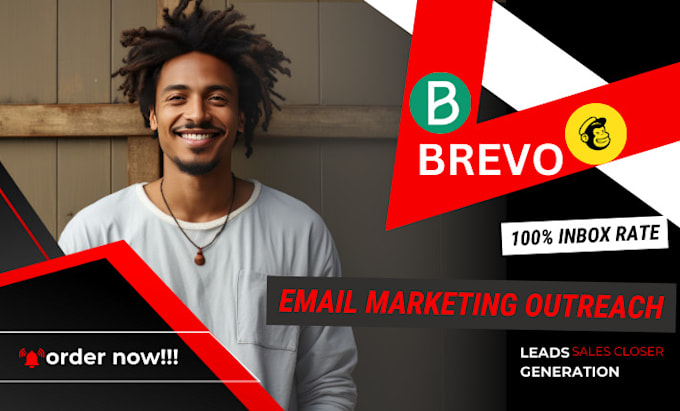 Gig Preview - Manage brevo and blast bulk email campaign outreach cold email marketing