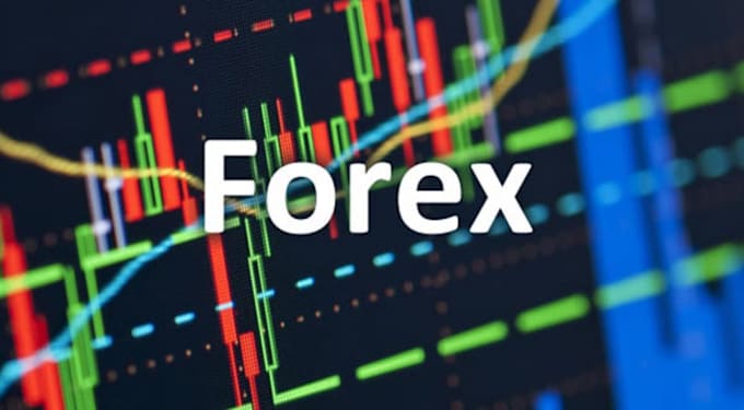 Gig Preview - Write articles courses on forex trading for you