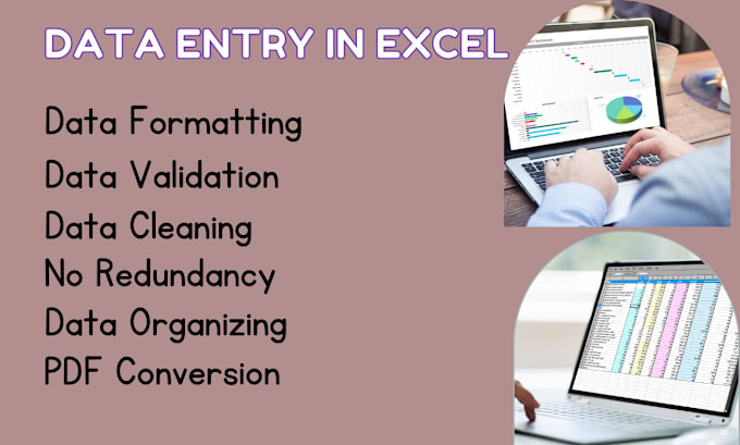 Gig Preview - Do accurate excel data entry, cleaning, validation, and remove duplicates