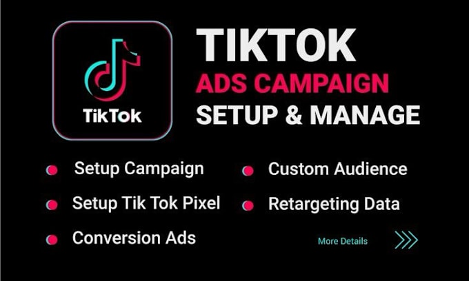 Gig Preview - Setup tiktok ads campaign, tik tok ads