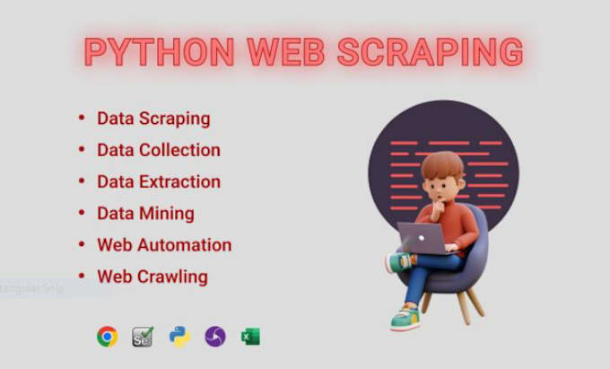 Gig Preview - Construct a python web scraper for web scraping data extraction