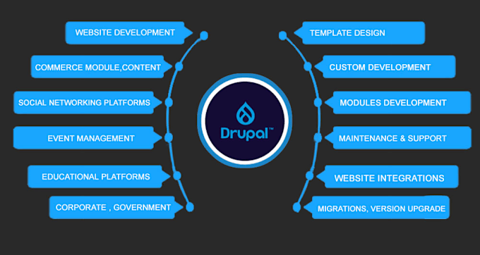 Gig Preview - Mastering drupal performance security  and customization best for your website