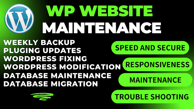 Gig Preview - Do wordpress maintenance, website update and support