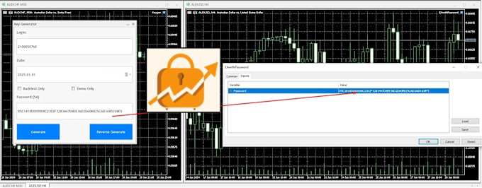 Gig Preview - Add password protection to your mt4,mt5 robots with a license generator