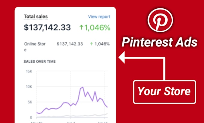 Gig Preview - Run pinterest ads for your store