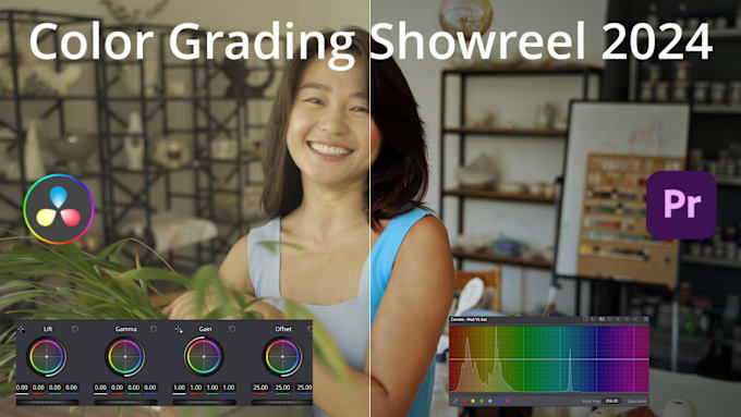 Gig Preview - Do color correction and color grading your video