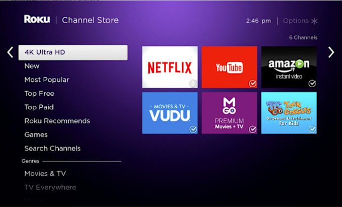 Gig Preview - Develop professional roku sdk channel from scratch