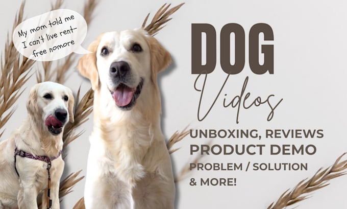 Gig Preview - Create engaging ugc dog videos for tiktok, reels, and ads