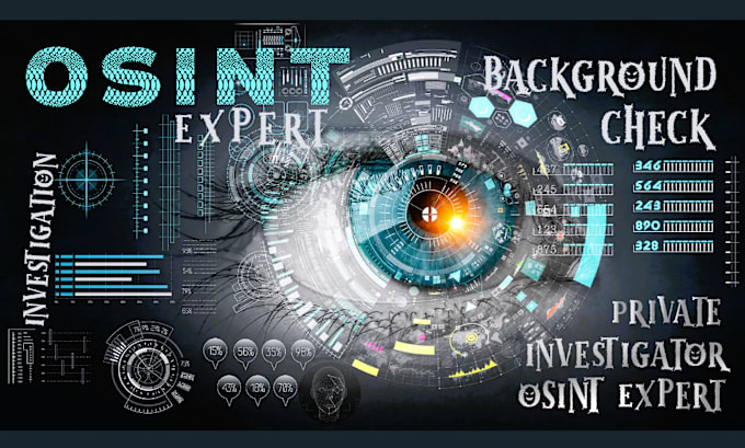 Gig Preview - Do osint private investigator and background check on your any target