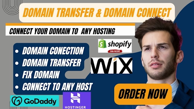 Gig Preview - Domain connect domain transfer domain fix domain to godaddy bluehost hostinger