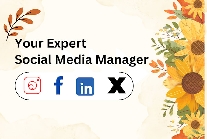 Gig Preview - Be your social media marketing manager and content creater