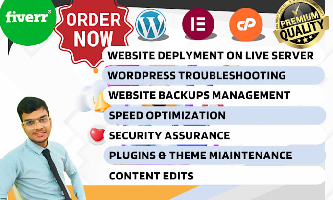 Gig Preview - Be your website manager for wordpress website maintenance