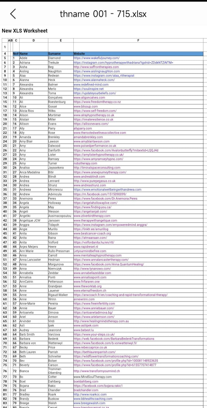 Gig Preview - Do data entry on spreadsheet with in 24 hours