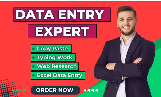 Gig Preview - Do data entry work for you or data entry in low price