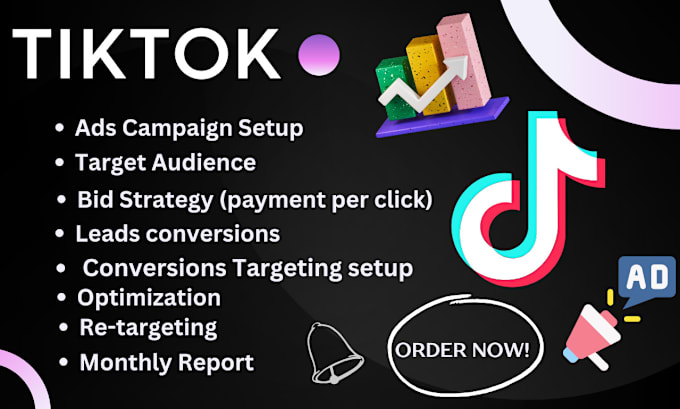 Gig Preview - Setup and manage tiktok account ads campaign