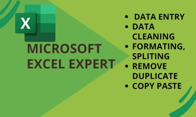 Gig Preview - Do excel, access data entry