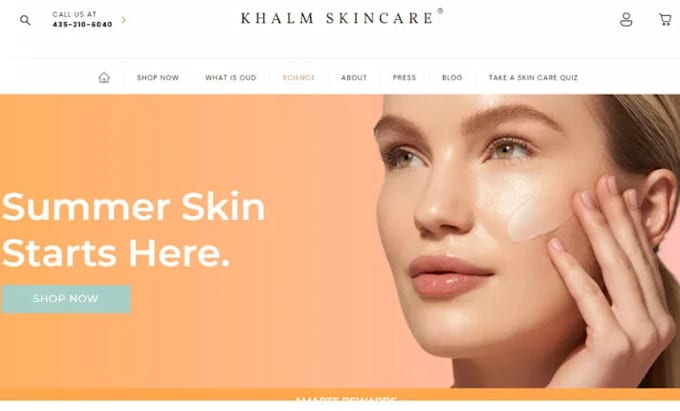 Gig Preview - Shopify skin care store cosmetics store beauty skin care dropshipping website