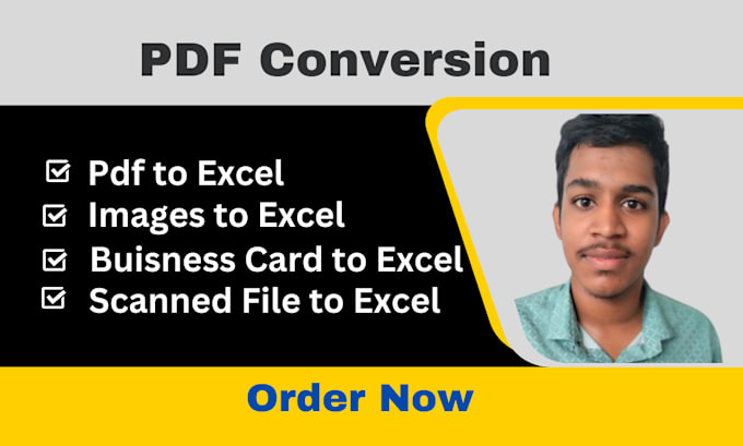 Gig Preview - Convert your pdf to excel or CSV file