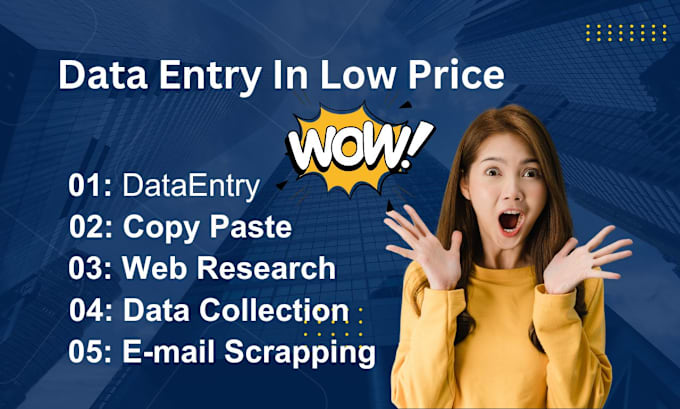 Gig Preview - Do data entry work for you or data entry in low price