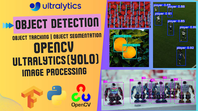 Gig Preview - Do object detection using yolo, opencv and image processing in python