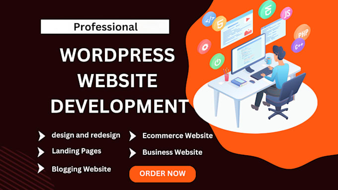 Gig Preview - Do professional wordpress design and development