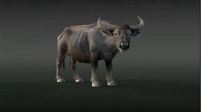 Gig Preview - Render 3d animal animation, 3d animal design, 3d animal modeling