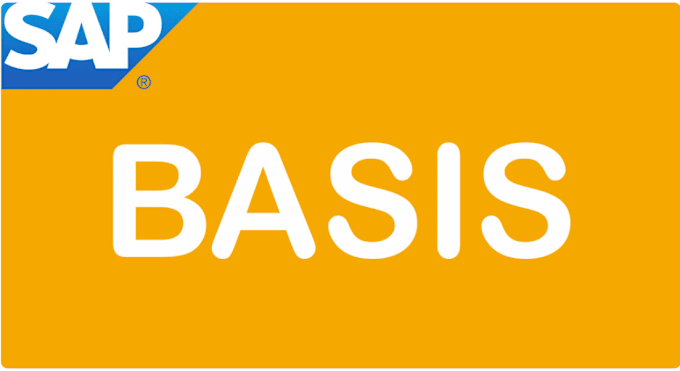 Gig Preview - Be your sap hana basis administrator