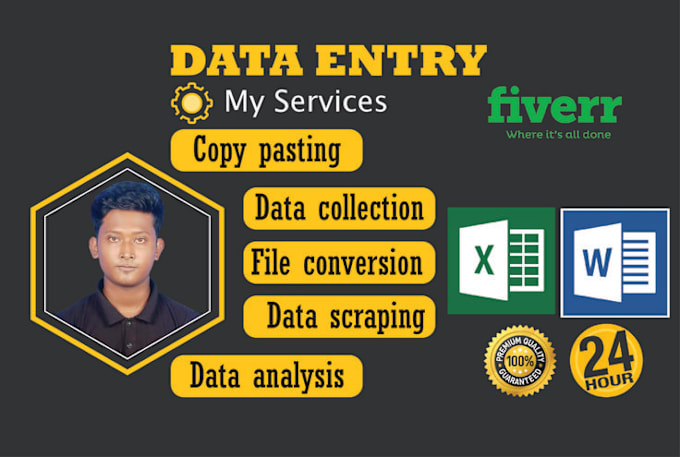 Gig Preview - Data entry and offer data analysis services