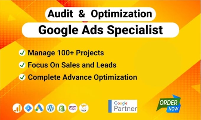 Gig Preview - Expert google ads campaign management to skyrocket your sale