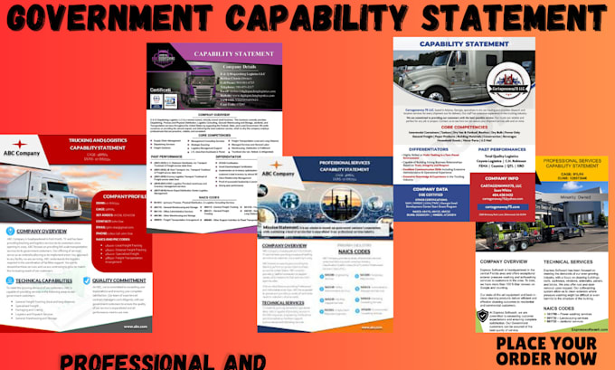 Gig Preview - Write and design federal government capability statement for government contract