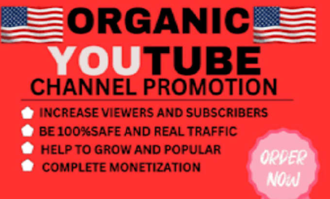 Bestseller - do organic USA youtube channel promotion to  reach out the targeted audience