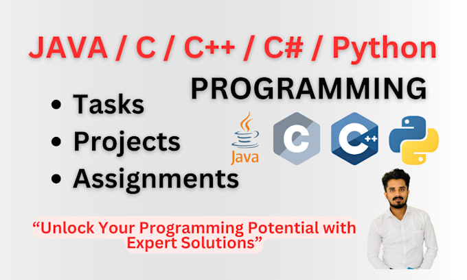 Gig Preview - Do java c c sharp python programming tasks