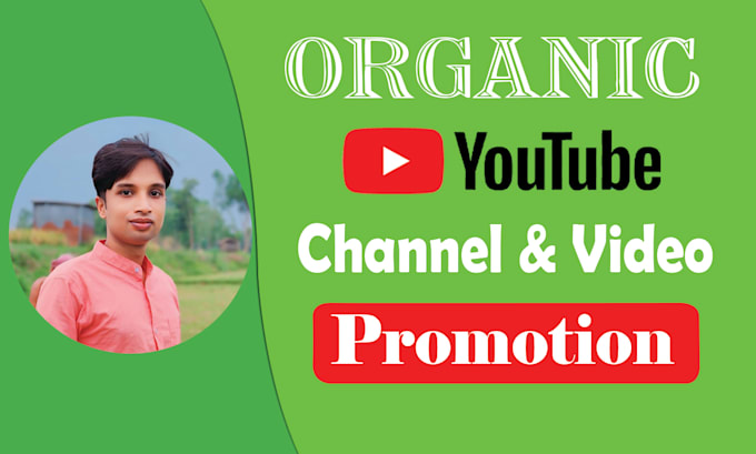 Gig Preview - Do organic youtube channel growth and video promotion