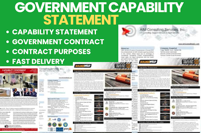 Gig Preview - Write and design unique federal government capability statement