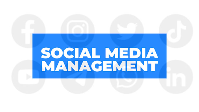 Gig Preview - Be your social media marketing manager and content creator