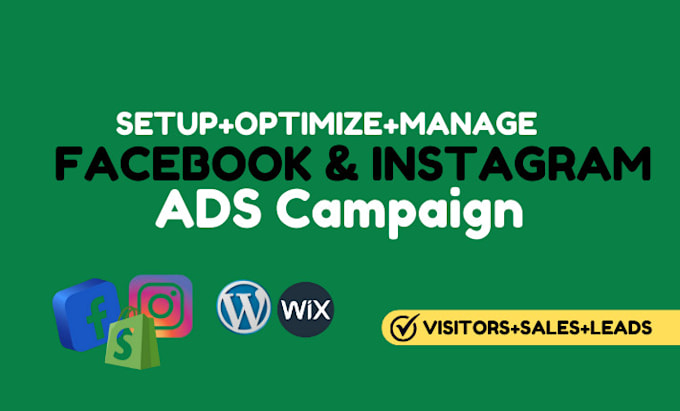 Gig Preview - Setup facebook and instagram ads campaign, run shopify fb advertising