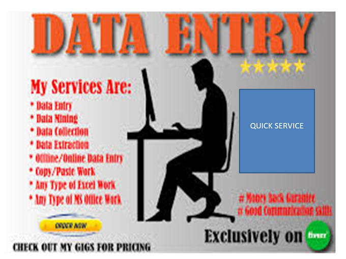 Gig Preview - Do data entry copy paste format conversion tasks