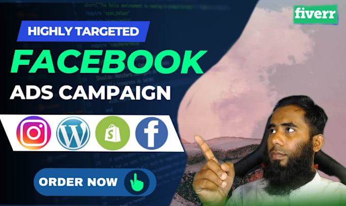 Gig Preview - Setup and run to your facebook ads campaign