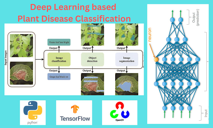 Gig Preview - Do machine learning, deep learning, and data science projects in python