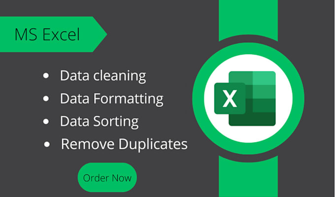 Gig Preview - Do ms excel data cleaning and formatting,  sorting, deduping